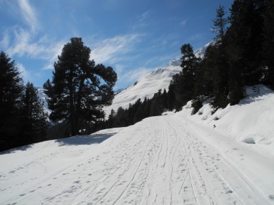 DSCN4102.JPG (775.68 KiB) 15133 mal betrachtet Das Flachstück im unteren Abschnitt
