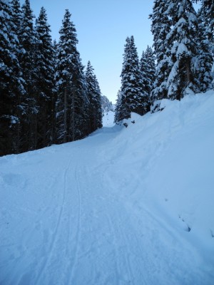 DSCN6508.JPG (291.19 KiB) 9125 mal betrachtet Ziel in Sicht