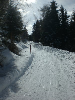 Rodelbahn im untersten Abschnitt