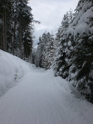 Rodelbahn BirgitzerAlm 2009-03-07 Unterer Abschnitt.jpg (2.22 MiB) 18449 mal betrachtet Im unteren Abschnitt