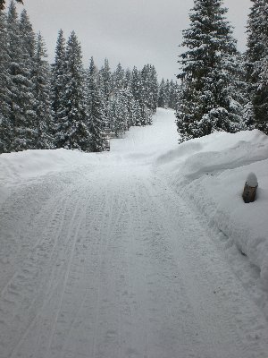 Aus dem Wald heraus auf den Hüttenboden ...