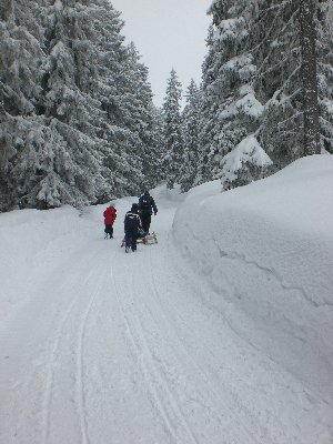 Im oberen Abschnitt der Rodelbahn