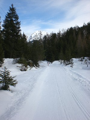 Rodelbahn im unteren Abschnitt (Flachstück)