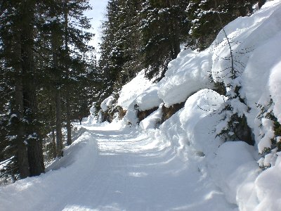 Rodelbahn im oberen Abschnitt