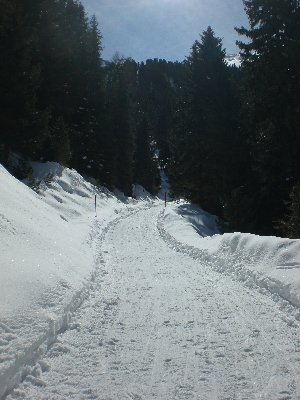 Rodelbahn Juifenalm 2009-03-14 Mittlerer Abschnitt 2.jpg (2.2 MiB) 10274 mal betrachtet Strecke im mittleren Abschnitt