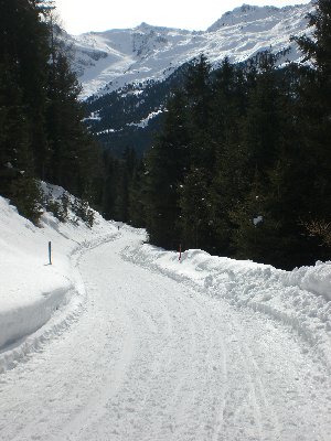 Rodelbahn Juifenalm 2009-03-14 Abfahrt 1.jpg (2.18 MiB) 10395 mal betrachtet Abfahrt bei besten Bedingungen
