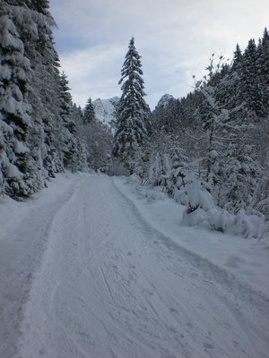 Im Aufstieg - mittlerer Abschnitt