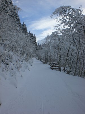 Rodelbahn AxamerLizum Aufstieg2 20091205.JPG (2.2 MiB) 13632 mal betrachtet Aufstieg
