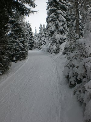 Knapp vor dem Hüttenboden