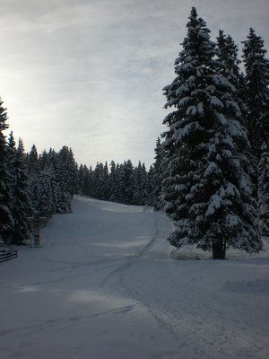 Am Hüttenboden