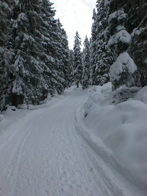 Im obersten Abschnitt knapp vor der letzten Kurve