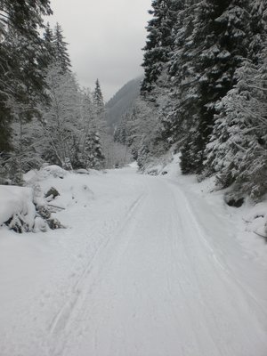 Rodelbahn KematerAlm Mittelst__ck 20091212.JPG (2.17 MiB) 12978 mal betrachtet Im mittleren Abschnitt