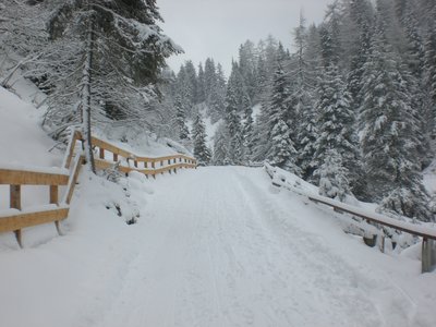 Die Bahn im obersten Abschnitt