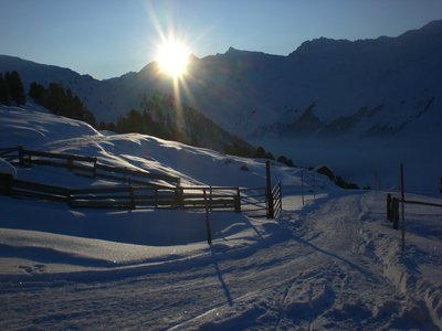 Start der Rodelbahn bei der Juifenalm