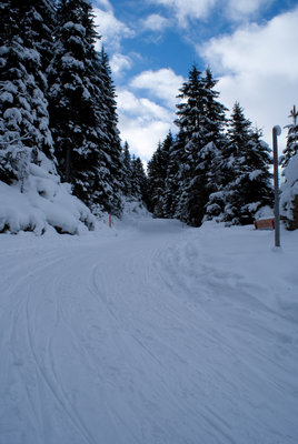 kurvewald.jpg (4.37 MiB) 17155 mal betrachtet Die Rodelbahn im Wald