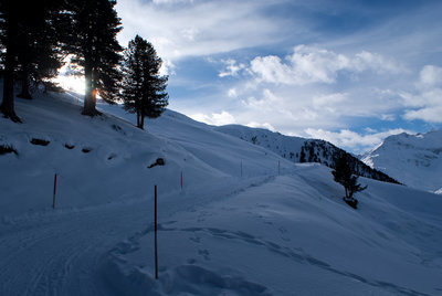 waldgrenze.jpg (3.92 MiB) 17154 mal betrachtet Die Sonne lässt sich blicken