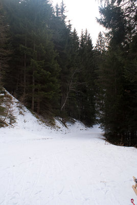 DSC08133.jpg (4.49 MiB) 8515 mal betrachtet weiter oben