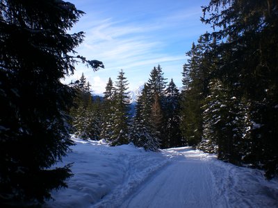 Unterhalb der Naviser Hütte