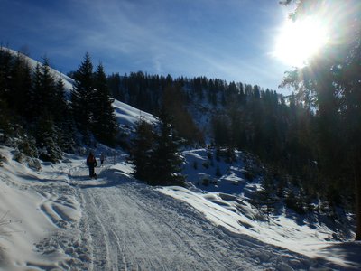 Knapp unterhalb der Stöcklalm