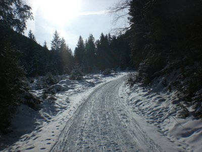 Die Rodelbahn im unteren Abschnitt