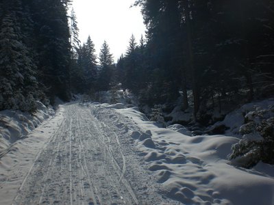 Die Rodelbahn unterhalb von der Abzweigung nach Salfains