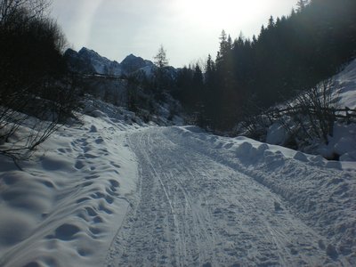 Rodelbahn KematerAlm 20100129 MittlereAbschnitt.JPG