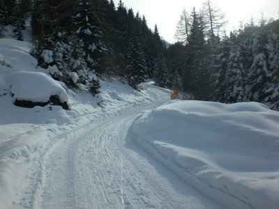 Die Rodelbahn im oberen Abschnitt