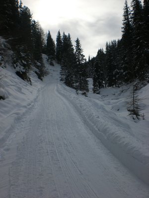 Rodelbahn Kemater Alm 20100129 Oberster Abschnitt2.JPG