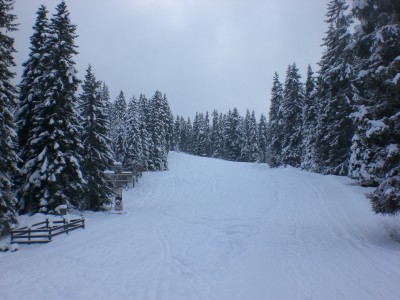 BirgitzerAlm_Huettenboden.JPG (1.81 MiB) 10474 mal betrachtet Hüttenboden
