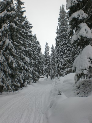 Tief_winterlich.JPG (1.86 MiB) 10804 mal betrachtet Tief winterlich