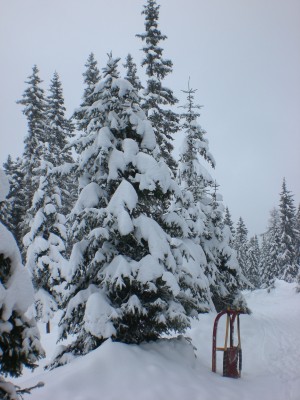 Winterstimmung_2.JPG (1.85 MiB) 10804 mal betrachtet Sehr romantisch auch die Talfahrt