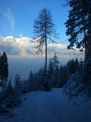 Im mittleren Abschnitt.JPG (1.82 MiB) 9690 mal betrachtet Bahn im unteren Abschnitt