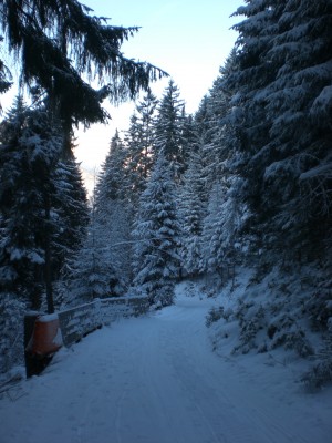 Absicherung mit Holzbanden