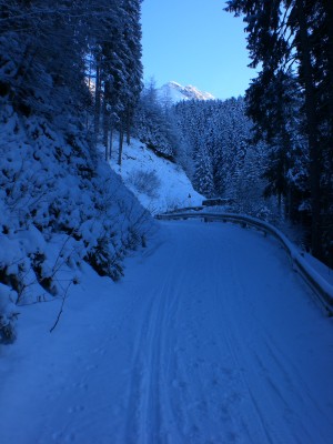 Leitplanke vor der Brücke