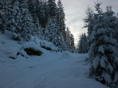 Oberster Streckenabschnitt.JPG (1.86 MiB) 9690 mal betrachtet Im obersten Streckenabschnitt