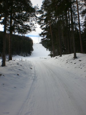 Start der Rodelbahn