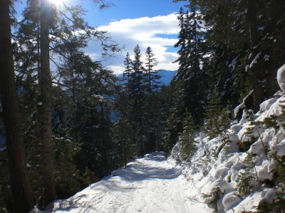 Mittlerer Abschnitt.JPG (1.87 MiB) 10795 mal betrachtet Im mittleren Abschnitt