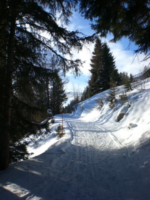 Im oberen Abschnitt.JPG (1.89 MiB) 10943 mal betrachtet Im oberen Abschnitt