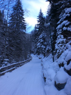 Banden_Unten.JPG (1.85 MiB) 28212 mal betrachtet Banden im unteren Abschnitt