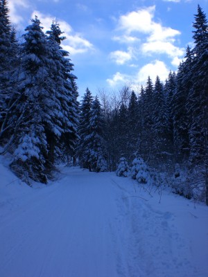 Unterer Abschnitt.JPG (1.86 MiB) 28212 mal betrachtet Im unteren Abschnitt