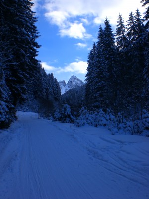 Ferne Marchreisenspitze