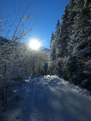 Unterer Abschnitt.JPG (1.86 MiB) 14578 mal betrachtet Rodelbahn Bergheim im unteren Abschnitt