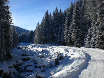 Mittlerer Abschnitt.JPG (1.88 MiB) 14719 mal betrachtet Im mittleren Abschnitt vor Bergheim