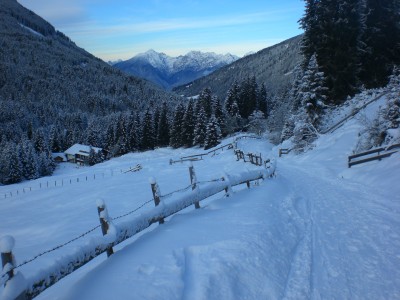 Oberhalb von Bergheim