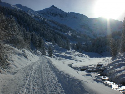 Bei der Abzweigung des Sommerweges