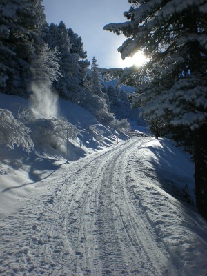 Winterpanorama Fotschertal