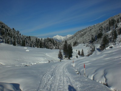 Impressionen 2.JPG (1.82 MiB) 14578 mal betrachtet Impressionen Fotschertal