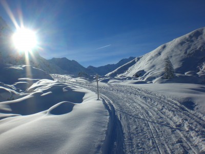 Endlich wieder in der Sonne