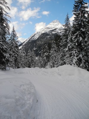 DSCN3475.JPG (617.42 KiB) 21468 mal betrachtet Kurve im unteren Abschnitt