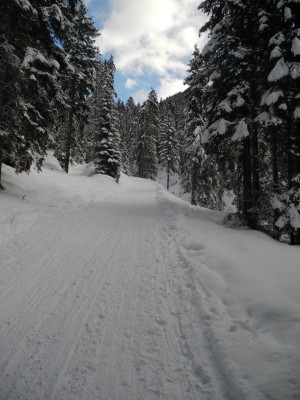 DSCN3478.JPG (667.39 KiB) 21710 mal betrachtet Gerade im unteren Abschnitt